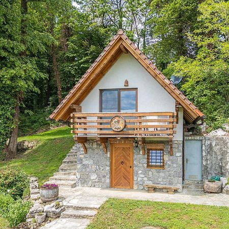Vineyard Cottage Rataj 2 Novo Mesto Kültér fotó